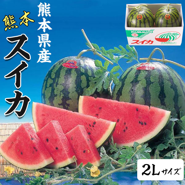 スイカ　熊本県産　1箱 2Lサイズ・7kg(×2玉セット・合計14kg) 　高級すいか/等級：秀(赤)　贈答用　ギフト・送料無料