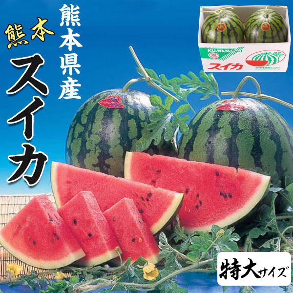 スイカ 特大サイズ 熊本県産 すいか 1箱 8kg × 2玉 セット 高級すいか 等級：秀(赤)  贈答用 　高級西瓜 　プレゼント　果物　母の日　希少すいか　フルーツ　ギフト　・送料無料