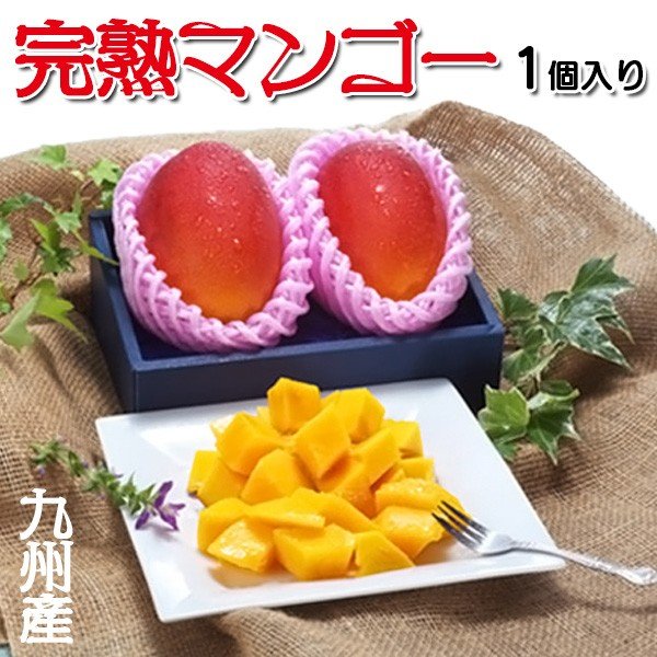 完熟マンゴー 1個入り 贈答用 九州産(熊本/宮崎/鹿児島)  ギフト 贈り物 プレミアム フルーツ 果物 化粧箱入りギフト 送料無料