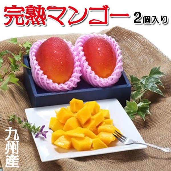 完熟 マンゴー 2個入り 贈答用 九州産(熊本/宮崎/鹿児島) お取り寄せ グルメ 果物 プレミアム フルーツ デザート 百貨店品質の高級品 化粧箱入りギフト 送料無料