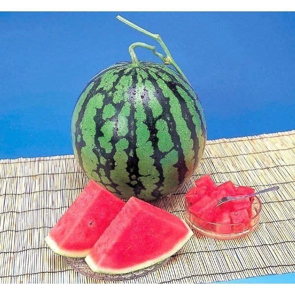 最先端 スイカ 熊本県産 1箱 Mサイズ 5kg 2玉 高級すいか 等級 秀 赤 化粧箱入り 贈答用 ギフト 送料無料 正規品 Lexusoman Com