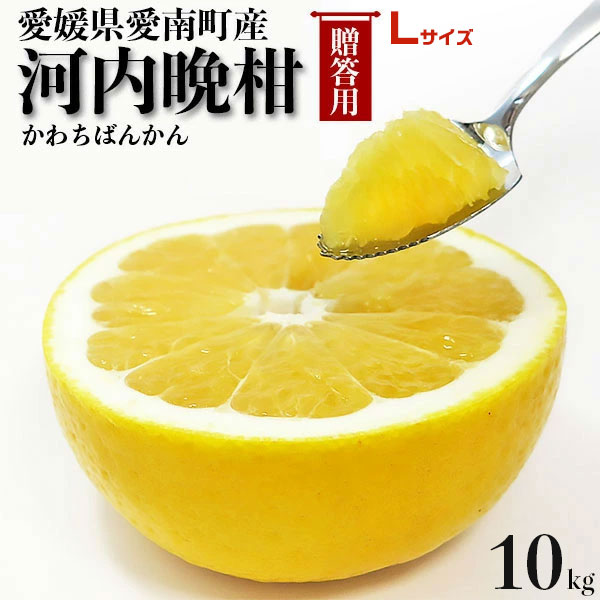 愛媛　河内晩柑　10kg　Lサイズ指定　秀品・ギフト用　宇和ゴールド同品種　かわちばんかん　愛媛県愛南町産　柑橘みかん　果物　フルーツ　贈答用ギフトにも・送料無料