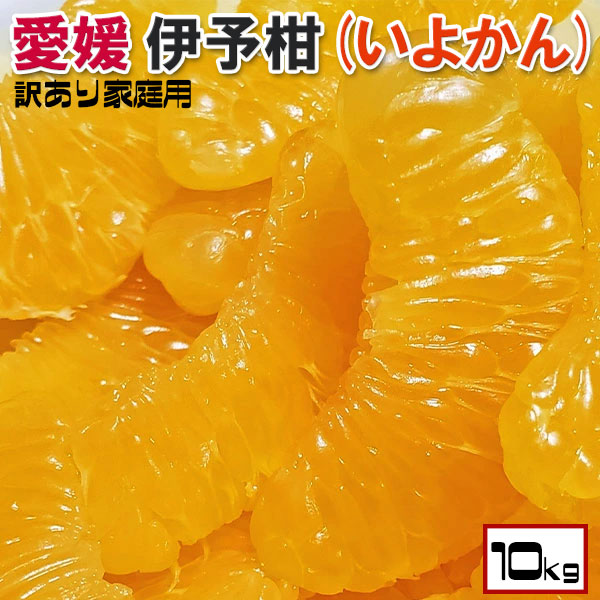 楽天市場】愛果28号 10kg A品 贈答品質 愛媛県産「あいか」愛媛果試28