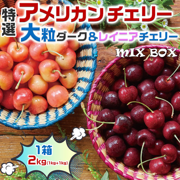 さくらんぼ　高級 アメリカンチェリー　大粒ダークチェリー＆大粒レイニアチェリー  MIX【2kg】 00018K　ギフト　お試し　プレゼント　果物　希少フルーツ　限定　高糖度　予約品　送料無料　【6月20日～8月9日の出荷予定】
