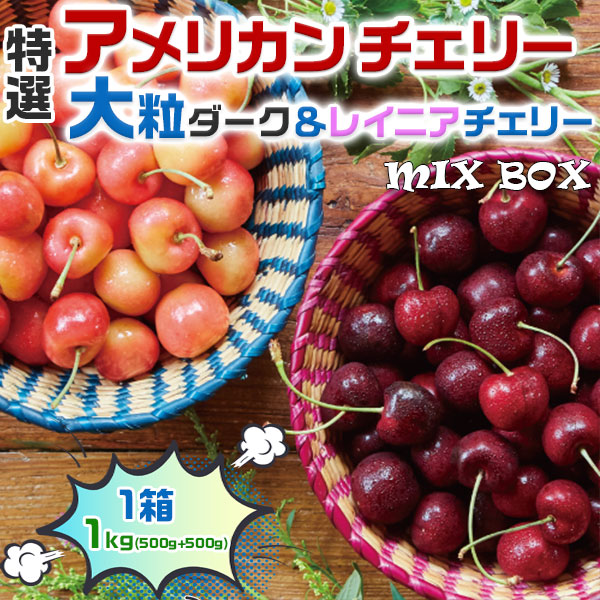 さくらんぼ　高級 アメリカンチェリー　大粒ダークチェリー＆大粒レイニアチェリー  MIX【1kg】 00017K　ギフト　お試し　プレゼント　果物　希少フルーツ　限定　高糖度　予約品　送料無料　【6月20日～8月9日の出荷予定】