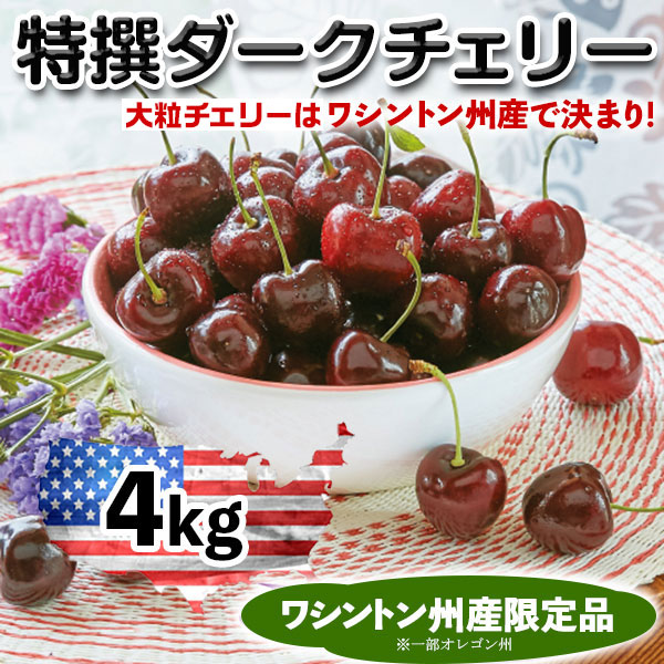 ダークチェリー　アメリカンチェリー　特選ダークチェリー ワシントン州産　大粒ダークチェリー さくらんぼ【4kg】高級ワシントン州　ダークチェリー・プレミアムフルーツ　百貨店品質ギフト　　送料無料【6月20日～8月9日の出荷予定】00011K