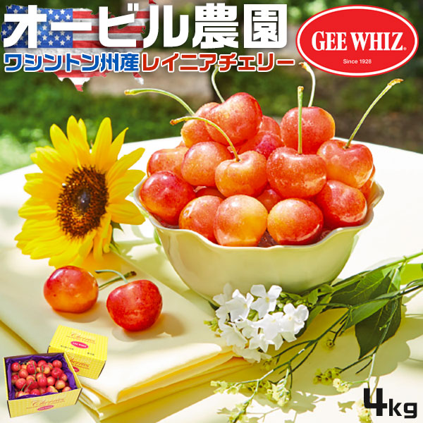 オービル農園　アメリカン チェリー 4kg　GEE WHIZ 超大粒　レイニア 種 ワシントン州産 レイニアチェリー フルーツ 人気 大粒 果物 ギフト お中元 夏ギフト レーニアチェリー 送料無料 00041K