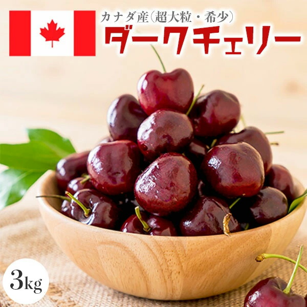 お中元 さくらんぼ カナダ産 ダークチェリー 超大粒【3kg】カナダ版のアメリカンチェリー 希少・高級カナディアンチェリー【8月上旬~8月下旬の出荷予定】送料無料 03630K|ギフト広場 店