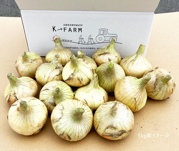 市場 あわじ島 旬の玉ねぎをお送り致します 玉ねぎ あわじ島プレミアムたまねぎ 淡路島タマネギ 1箱 5kg 市場 あわじ島 旬の玉ねぎをお送り致します 玉ねぎ あわじ島プレミアムたまねぎ 淡路島タマネギ 1箱 5kg