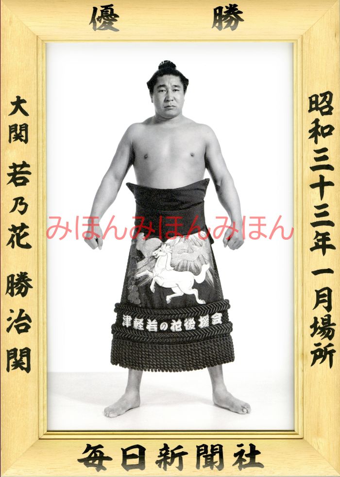 若乃花勝治関　優勝ミニ額 大相撲ミニ額 大相撲優勝額　昭和３３年１月場所 優勝 大関 若乃花勝治関（２回目の優勝）優勝記念品 相撲グッズ 力士グッズ 相撲取りグッズ 国技館 限定品 記念品 コレクション 写真 S3301