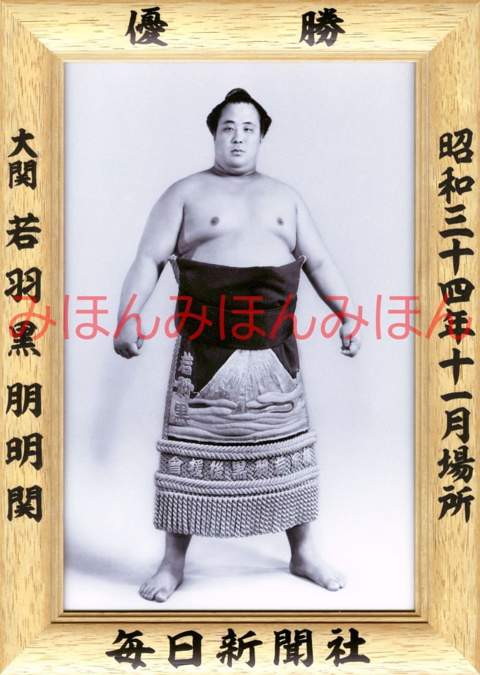 若羽黒朋明関　優勝ミニ額 大相撲ミニ額 大相撲優勝額　昭和３４年１１月場所 優勝 大関 若羽黒朋明関優勝記念品 相撲グッズ 力士グッズ 相撲取りグッズ 国技館 限定品 記念品 コレクション 写真 S3411