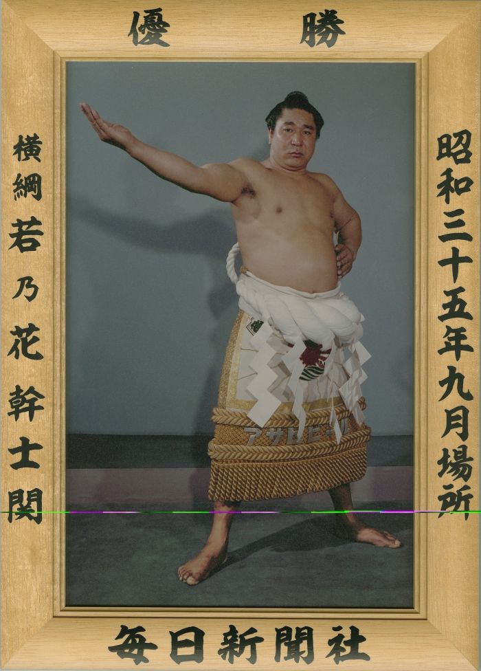 若乃花幹士関　優勝ミニ額 大相撲ミニ額 大相撲優勝額　昭和３５年９月場所 優勝 横綱 若乃花幹士関（１０回目最後の優勝）優勝記念品 相撲グッズ 力士グッズ 相撲取りグッズ 国技館 限定品 記念品 コレクション 写真 S3509