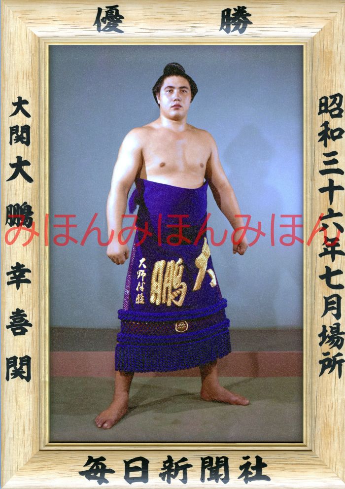 風雲！大相撲 - Number283号 - Number Web - ナンバー