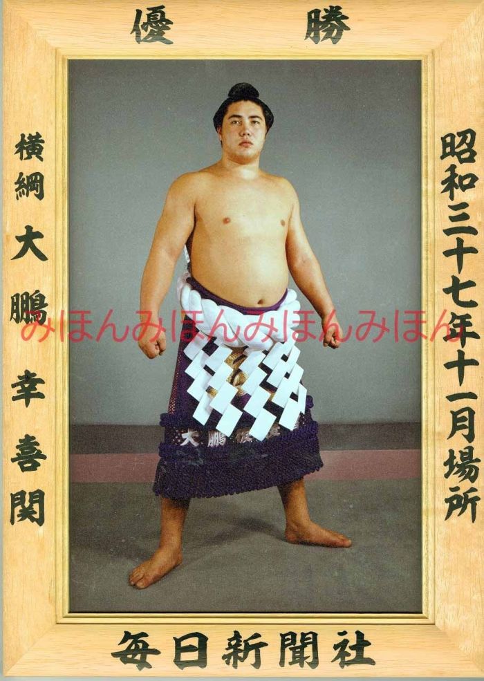 大鵬幸喜関　優勝ミニ額 大相撲ミニ額 大相撲優勝額　昭和３７年１１月場所 優勝 横綱 大鵬幸喜関（８回目の優勝）優勝記念品 相撲グッズ 力士グッズ 相撲取りグッズ 国技館 限定品 記念品 コレクション 写真 S3711