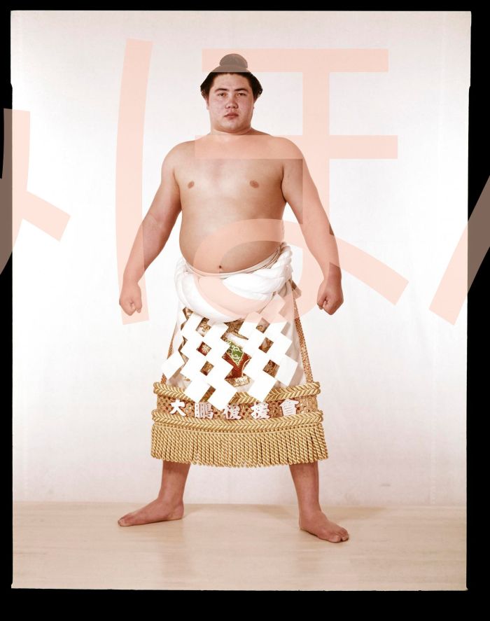 大鵬幸喜関　優勝ミニ額 大相撲ミニ額 大相撲優勝額　昭和３８年１月場所 優勝 横綱 大鵬幸喜関（９回目の優勝）優勝記念品 相撲グッズ 力士グッズ 相撲取りグッズ 国技館 限定品 記念品 コレクション 写真 S3801