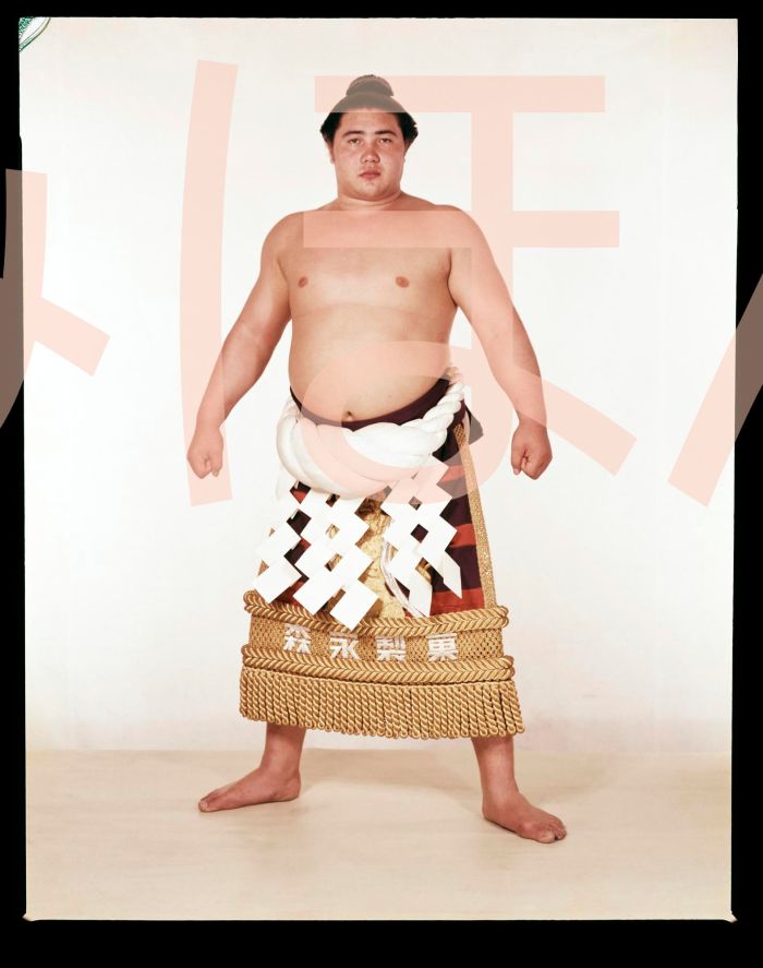 大鵬幸喜関　優勝ミニ額 大相撲ミニ額 大相撲優勝額　昭和３８年３月場所 優勝 横綱 大鵬幸喜関（１０回目の優勝）優勝記念品 相撲グッズ 力士グッズ 相撲取りグッズ 国技館 限定品 記念品 コレクション 写真 S3803