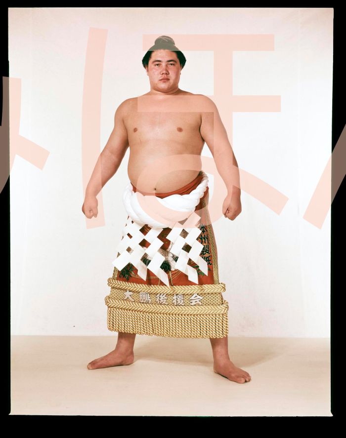 大鵬幸喜関　優勝ミニ額 大相撲ミニ額 大相撲優勝額　昭和３８年５月場所 全勝 横綱 大鵬幸喜関（１１回目の優勝）優勝記念品 相撲グッズ 力士グッズ 相撲取りグッズ 国技館 限定品 記念品 コレクション 写真 S3805