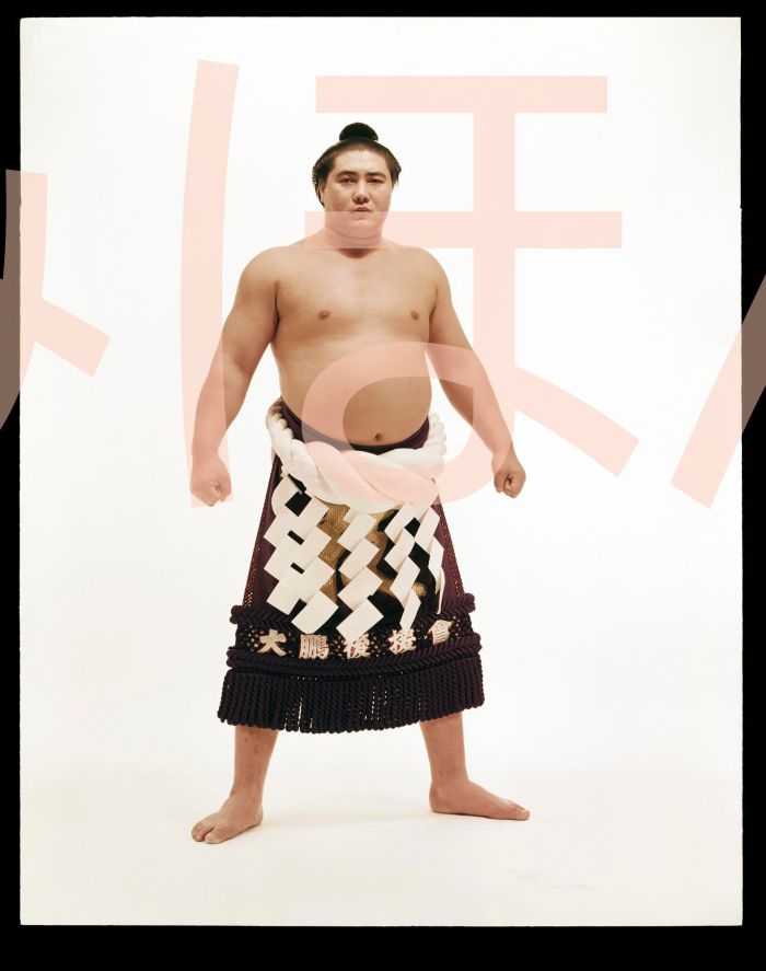 大鵬幸喜関　優勝ミニ額 大相撲ミニ額 大相撲優勝額　昭和３９年３月場所 全勝 横綱 大鵬幸喜関（１３回目の優勝）優勝記念品 相撲グッズ 力士グッズ 相撲取りグッズ 国技館 限定品 記念品 コレクション 写真 S3903