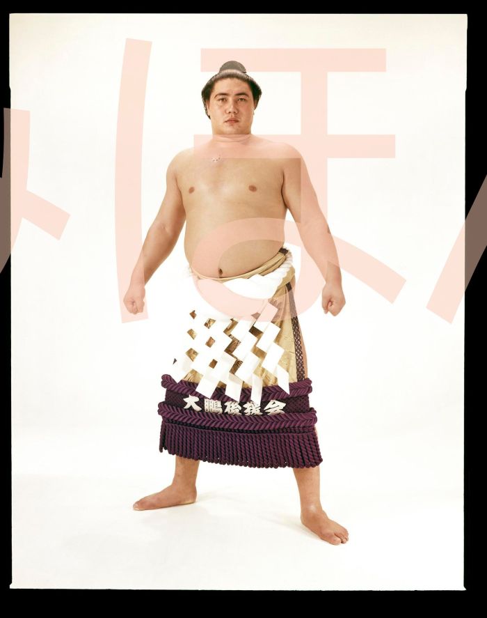 大鵬幸喜関　優勝ミニ額 大相撲ミニ額 大相撲優勝額　昭和３９年９月場所 優勝 横綱 大鵬幸喜関（１４回目の優勝）優勝記念品 相撲グッズ 力士グッズ 相撲取りグッズ 国技館 限定品 記念品 コレクション 写真 S3909