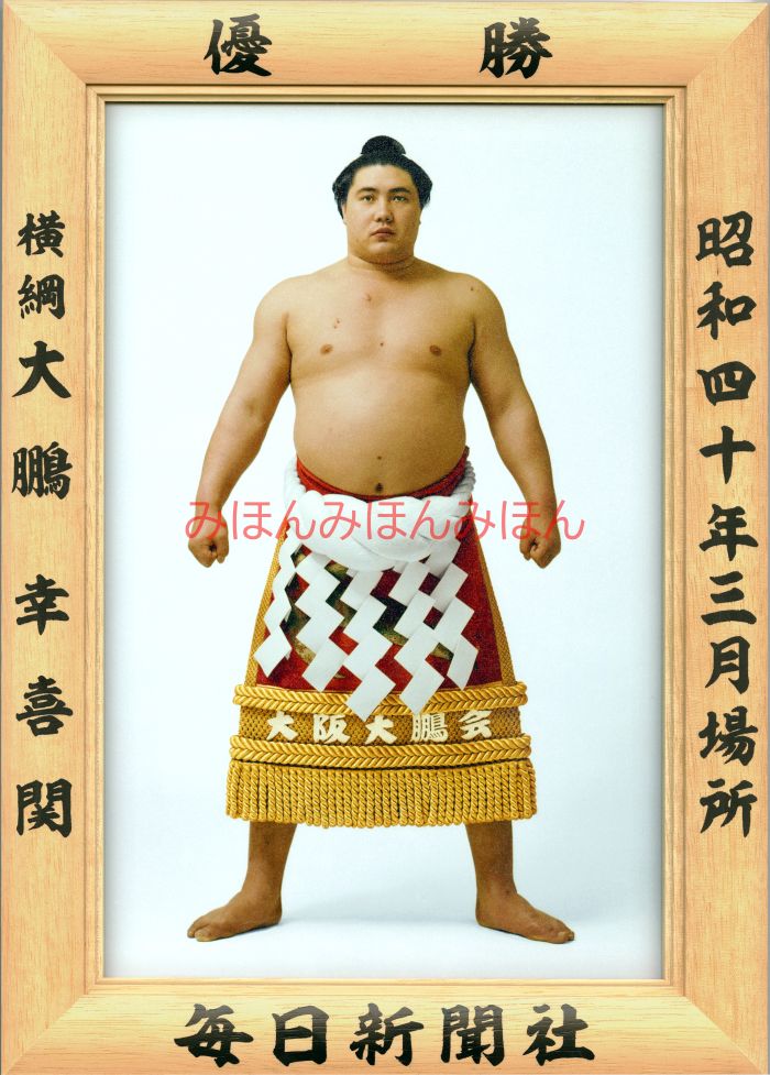 大鵬幸喜関　優勝ミニ額 大相撲ミニ額 大相撲優勝額　昭和４０年３月場所 優勝 横綱 大鵬幸喜関（１６回目の優勝）優勝記念品 相撲グッズ 力士グッズ 相撲取りグッズ 国技館 限定品 記念品 コレクション 写真 S4003
