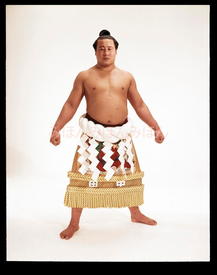 佐田の山晋松関　優勝ミニ額 大相撲ミニ額 大相撲優勝額　昭和４０年５月場所 優勝 横綱 佐田の山晋松関（４回目の優勝）優勝記念品 相撲グッズ 力士グッズ 相撲取りグッズ 国技館 限定品 記念品 コレクション 写真 S4005