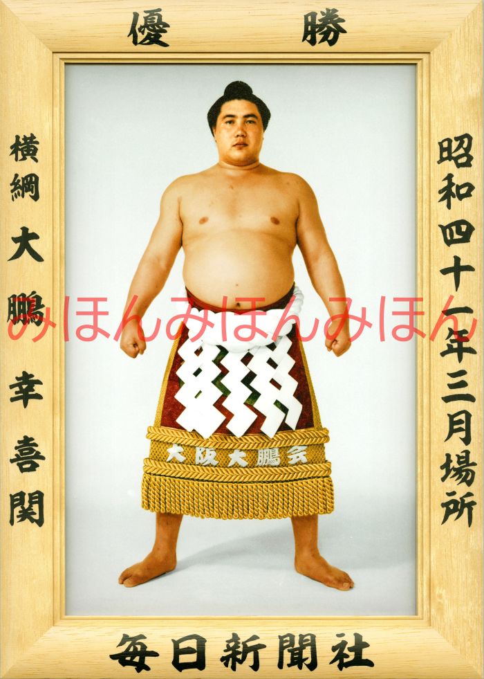大鵬幸喜関　優勝ミニ額 大相撲ミニ額 大相撲優勝額　昭和４１年３月場所 優勝 横綱 大鵬幸喜関（１９回目の優勝）優勝記念品 相撲グッズ 力士グッズ 相撲取りグッズ 国技館 限定品 記念品 コレクション 写真 S4103