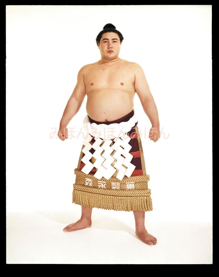 大鵬幸喜関　優勝ミニ額 大相撲ミニ額 大相撲優勝額　昭和４１年５月場所 優勝 横綱 大鵬幸喜関（２０回目の優勝）優勝記念品 相撲グッズ 力士グッズ 相撲取りグッズ 国技館 限定品 記念品 コレクション 写真 S4105