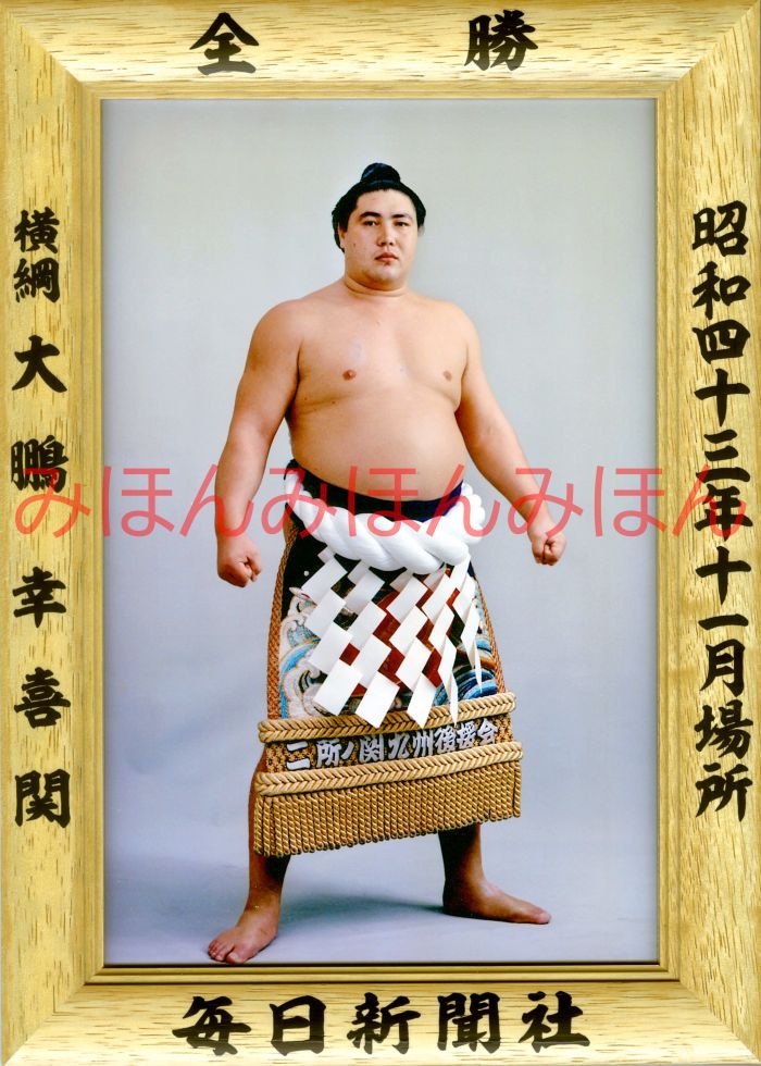 大鵬幸喜関　優勝ミニ額 大相撲ミニ額 大相撲優勝額　昭和４３年１１月場所 全勝 横綱 大鵬幸喜関（２８回目の優勝）優勝記念品 相撲グッズ 力士グッズ 相撲取りグッズ 国技館 限定品 記念品 コレクション 写真 S4311