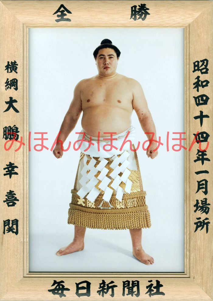 大鵬幸喜関　優勝ミニ額 大相撲ミニ額 大相撲優勝額　昭和４４年１月場所 全勝 横綱 大鵬幸喜関（２９回目の優勝）優勝記念品 相撲グッズ 力士グッズ 相撲取りグッズ 国技館 限定品 記念品 コレクション 写真 S4401