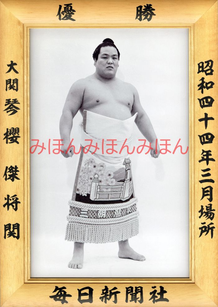 琴櫻傑将関　優勝ミニ額 大相撲ミニ額 大相撲優勝額　昭和４４年３月場所 優勝 大関 琴櫻傑将関（２回目の優勝）優勝記念品 相撲グッズ 力士グッズ 相撲取りグッズ 国技館 限定品 記念品 コレクション 写真 S4403