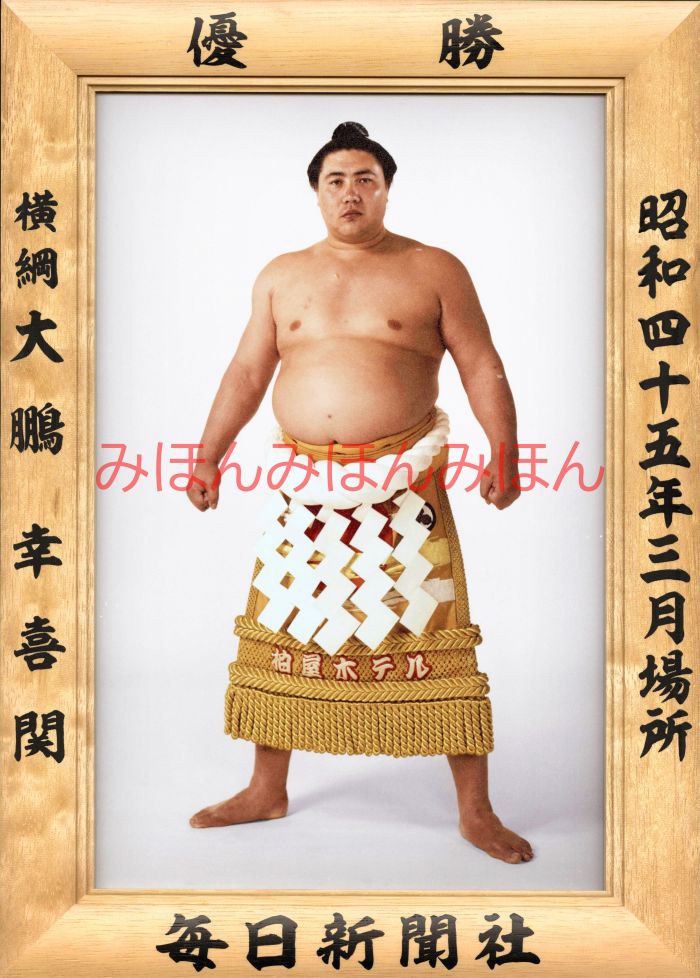 大鵬幸喜関　優勝ミニ額 大相撲ミニ額 大相撲優勝額　昭和４５年３月場所 優勝 横綱 大鵬幸喜関（３１回目の優勝）優勝記念品 相撲グッズ 力士グッズ 相撲取りグッズ 国技館 限定品 記念品 コレクション 写真 S4503