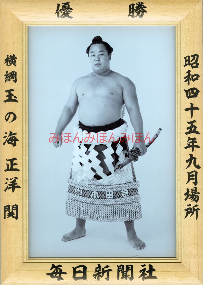 玉の海正洋関　優勝ミニ額 大相撲ミニ額 大相撲優勝額　昭和４５年９月場所 優勝 横綱 玉の海正洋関（３回目の優勝）優勝記念品 相撲グッズ 力士グッズ 相撲取りグッズ 国技館 限定品 記念品 コレクション 写真 S4509