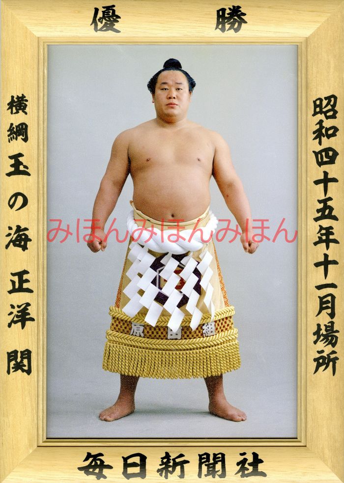 玉の海正洋関　優勝ミニ額 大相撲ミニ額 大相撲優勝額　昭和４５年１１月場所 優勝 横綱 玉の海正洋関（４回目の優勝）優勝記念品 相撲グッズ 力士グッズ 相撲取りグッズ 国技館 限定品 記念品 コレクション 写真 S4511