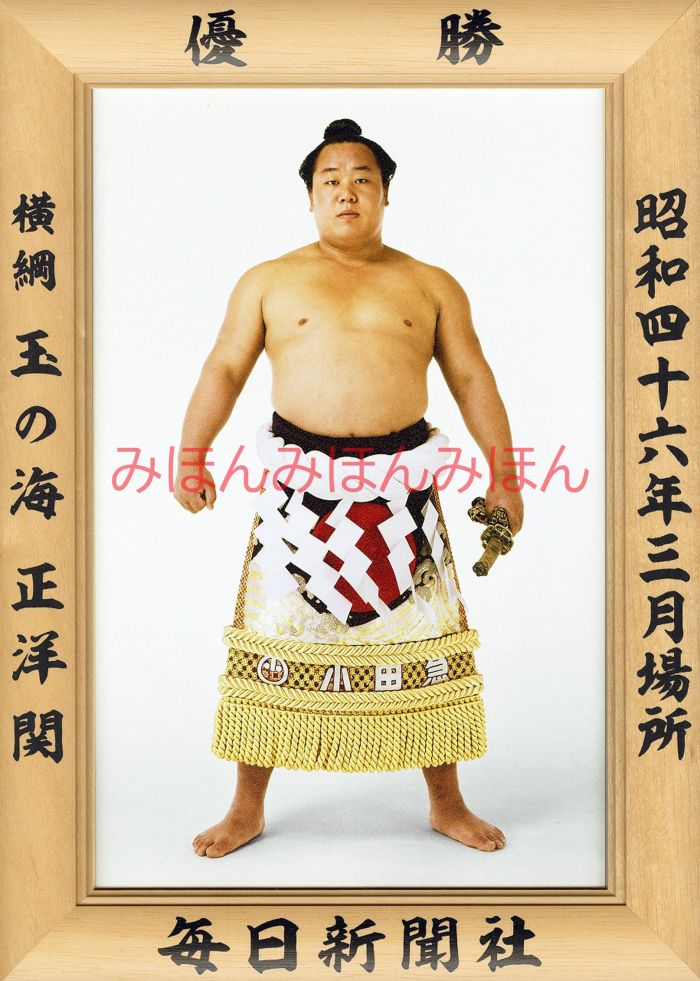 玉の海正洋関　優勝ミニ額 大相撲ミニ額 大相撲優勝額　昭和４６年３月場所 優勝 横綱 玉の海正洋関（５回目の優勝）優勝記念品 相撲グッズ 力士グッズ 相撲取りグッズ 国技館 限定品 記念品 コレクション 写真 S4603