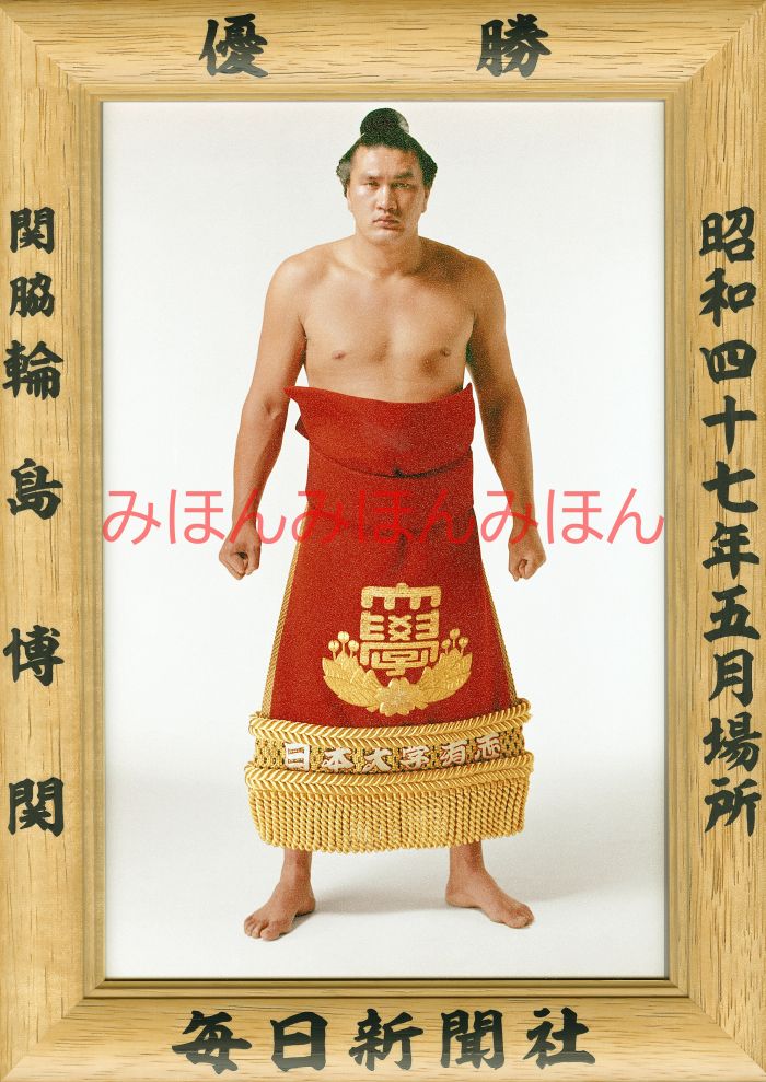 楽天市場】千代の富士貢関 優勝ミニ額 大相撲ミニ額 大相撲優勝