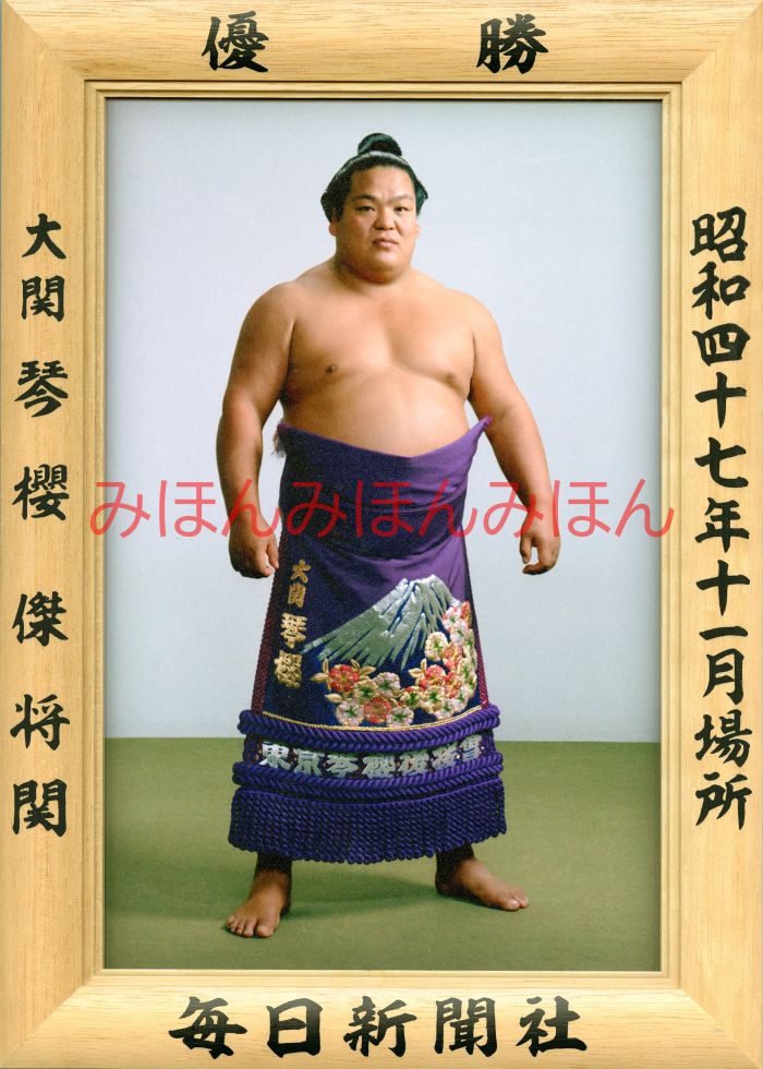 琴櫻傑将関　優勝ミニ額 大相撲ミニ額 大相撲優勝額　昭和４７年１１月場所 優勝 大関 琴櫻傑将関（３回目の優勝）優勝記念品 相撲グッズ 力士グッズ 相撲取りグッズ 国技館 限定品 記念品 コレクション 写真 S4711