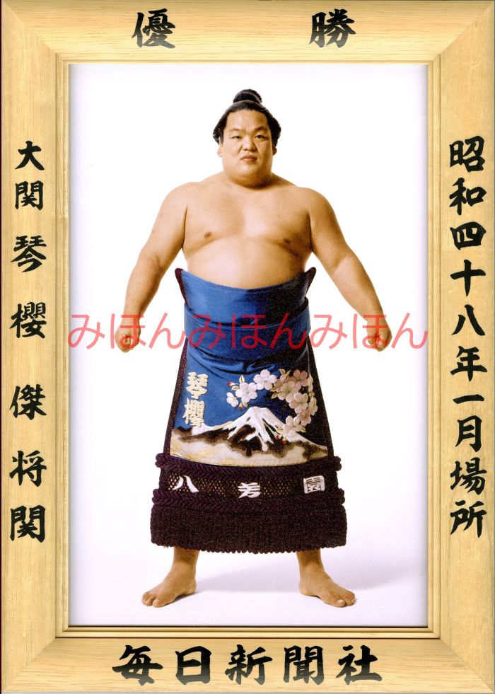 琴櫻傑将関　優勝ミニ額 大相撲ミニ額 大相撲優勝額　昭和４８年１月場所 優勝 大関 琴櫻傑将関（４回目の優勝）優勝記念品 相撲グッズ 力士グッズ 相撲取りグッズ 国技館 限定品 記念品 コレクション 写真 S4801