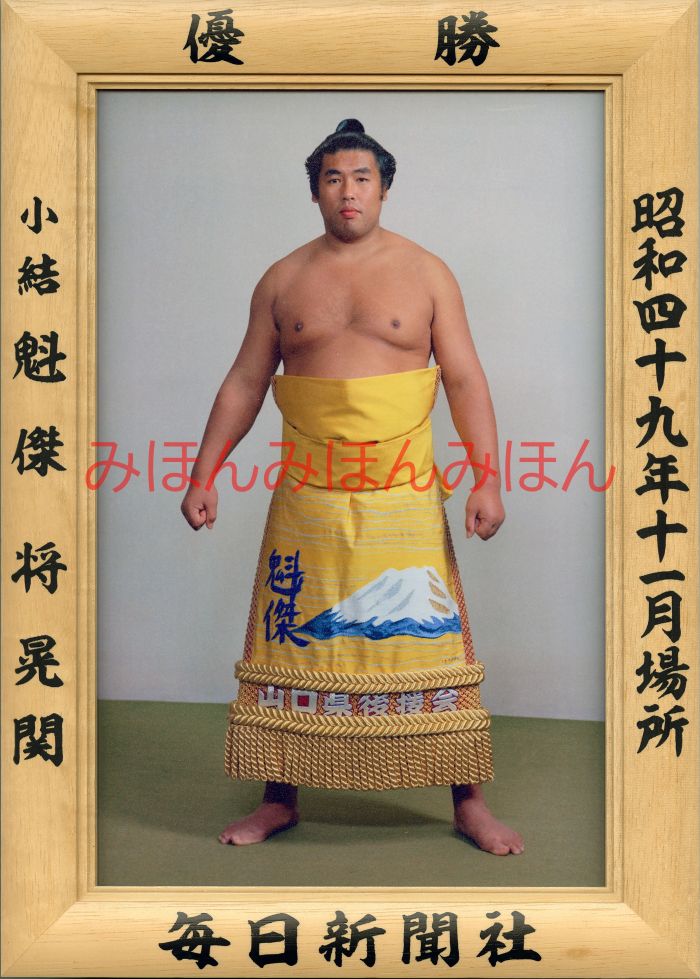 リアルタイムランキング１位！ 魁傑将晃関　優勝ミニ額 大相撲ミニ額 大相撲優勝額　昭和４９年１１月場所 優勝 小結 魁傑将晃関（初優勝）優勝記念品 相撲グッズ 力士グッズ 相撲取りグッズ 国技館 限定品 記念品 コレクション 写真 S4911