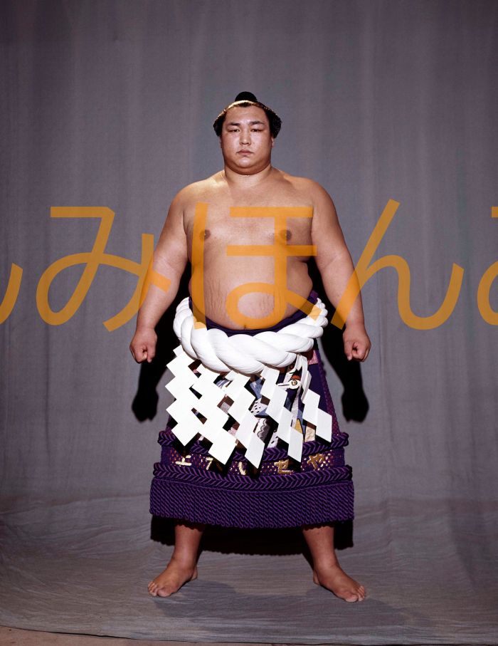 北の湖敏満関　優勝ミニ額 大相撲ミニ額 大相撲優勝額　昭和５２年３月場所 全勝 横綱 北の湖敏満関（８回目の優勝）優勝記念品 相撲グッズ 力士グッズ 相撲取りグッズ 国技館 限定品 記念品 コレクション 写真 S5203