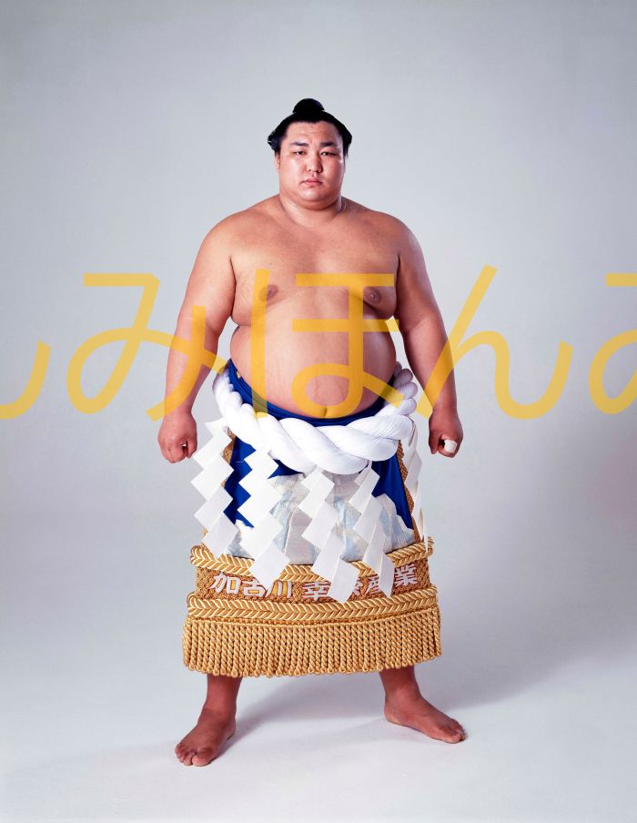 北の湖敏満関　優勝ミニ額 大相撲ミニ額 大相撲優勝額　昭和５３年５月場所 優勝 横綱 北の湖敏満関（１２回目の優勝）優勝記念品 相撲グッズ 力士グッズ 相撲取りグッズ 国技館 限定品 記念品 コレクション 写真 S5305