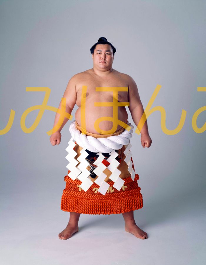 北の湖敏満関　優勝ミニ額 大相撲ミニ額 大相撲優勝額　昭和５４年１月場所 優勝 横綱 北の湖敏満関（１５回目の優勝）優勝記念品 相撲グッズ 力士グッズ 相撲取りグッズ 国技館 限定品 記念品 コレクション 写真 S5401