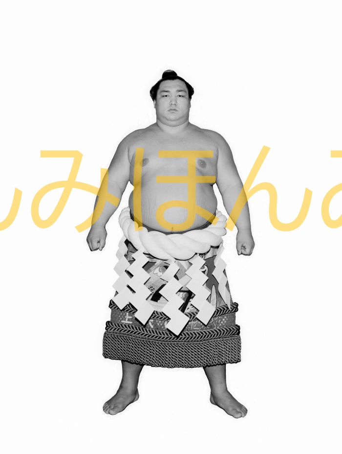 北の湖敏満関　優勝ミニ額 大相撲ミニ額 大相撲優勝額　昭和５４年３月場所 全勝 横綱 北の湖敏満関（１６回目の優勝）優勝記念品 相撲グッズ 力士グッズ 相撲取りグッズ 国技館 限定品 記念品 コレクション 写真 S5403