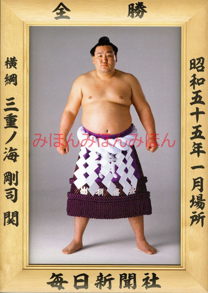 三重ノ海剛司関　優勝ミニ額 大相撲ミニ額 大相撲優勝額　昭和５５年１月場所 全勝 横綱 三重ノ海剛司関（３回目の優勝）優勝記念品 相撲グッズ 力士グッズ 相撲取りグッズ 国技館 限定品 記念品 コレクション 写真 S5501
