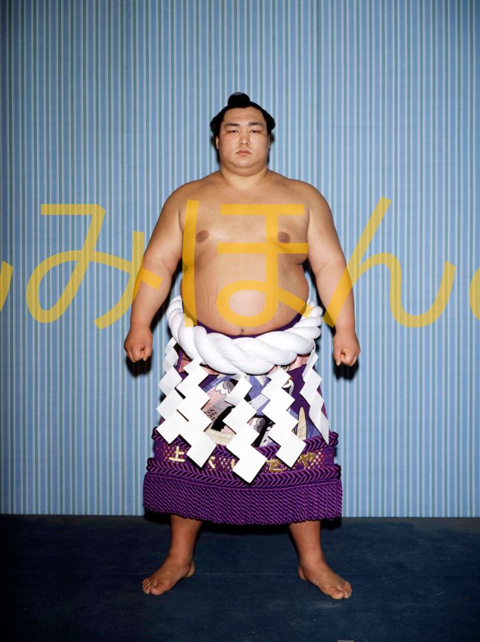 北の湖敏満関　優勝ミニ額 大相撲ミニ額 大相撲優勝額　昭和５５年３月場所 優勝 横綱 北の湖敏満関（１８回目の優勝）優勝記念品 相撲グッズ 力士グッズ 相撲取りグッズ 国技館 限定品 記念品 コレクション 写真 S5503
