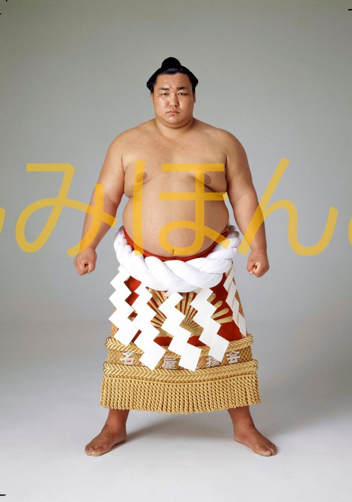 北の湖敏満関　優勝ミニ額 大相撲ミニ額 大相撲優勝額　昭和５５年５月場所 優勝 横綱 北の湖敏満関（１９回目の優勝）優勝記念品 相撲グッズ 力士グッズ 相撲取りグッズ 国技館 限定品 記念品 コレクション 写真 S5505