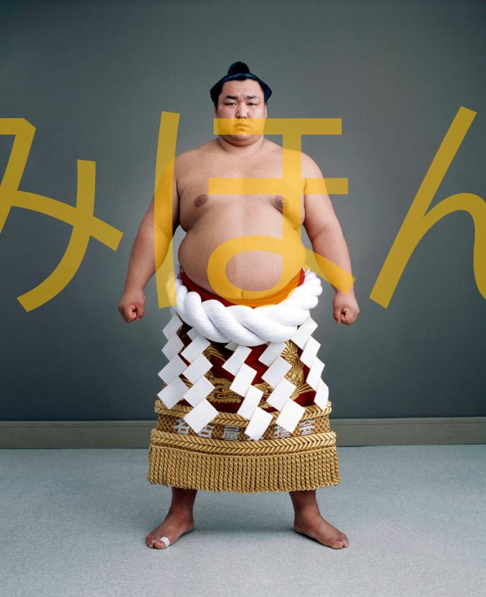北の湖敏満関　優勝ミニ額 大相撲ミニ額 大相撲優勝額　昭和５５年７月場所 全勝 横綱 北の湖敏満関（２０回目の優勝）優勝記念品 相撲グッズ 力士グッズ 相撲取りグッズ 国技館 限定品 記念品 コレクション 写真 S5507
