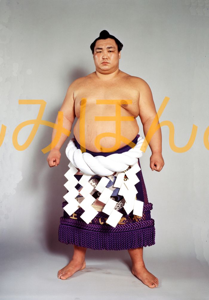 北の湖敏満関　優勝ミニ額 大相撲ミニ額 大相撲優勝額　昭和５６年３月場所 優勝 横綱 北の湖敏満関（２１回目の優勝）優勝記念品 相撲グッズ 力士グッズ 相撲取りグッズ 国技館 限定品 記念品 コレクション 写真 S5603