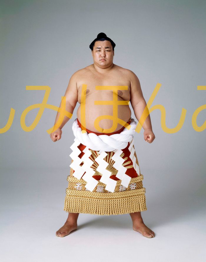北の湖敏満関　優勝ミニ額 大相撲ミニ額 大相撲優勝額　昭和５６年５月場所 優勝 横綱 北の湖敏満関（２２回目の優勝）優勝記念品 相撲グッズ 力士グッズ 相撲取りグッズ 国技館 限定品 記念品 コレクション 写真 S5605