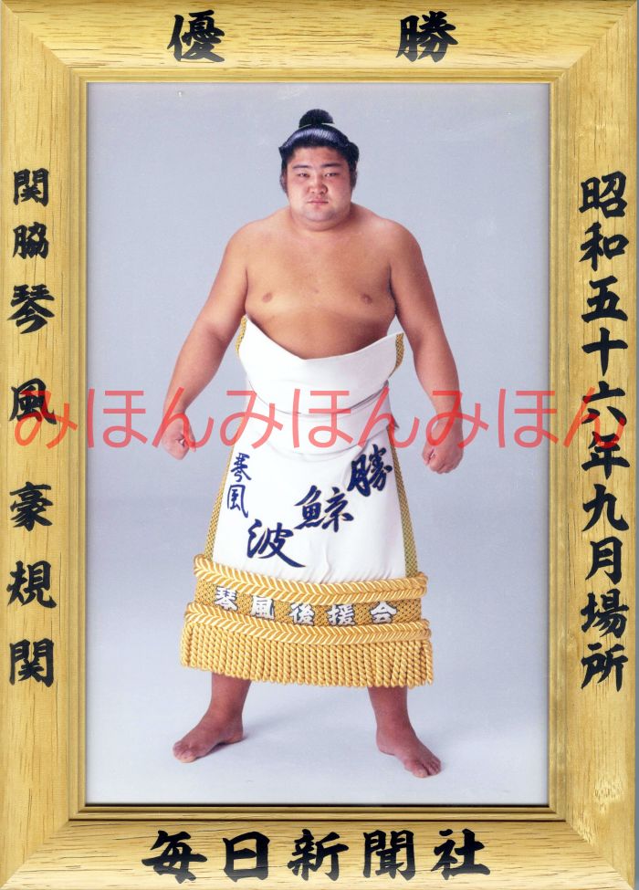 琴風豪規関　優勝ミニ額 大相撲ミニ額 大相撲優勝額　昭和５６年９月場所 優勝 関脇 琴風豪規関（初優勝）優勝記念品 相撲グッズ 力士グッズ 相撲取りグッズ 国技館 限定品 記念品 コレクション 写真 S5609