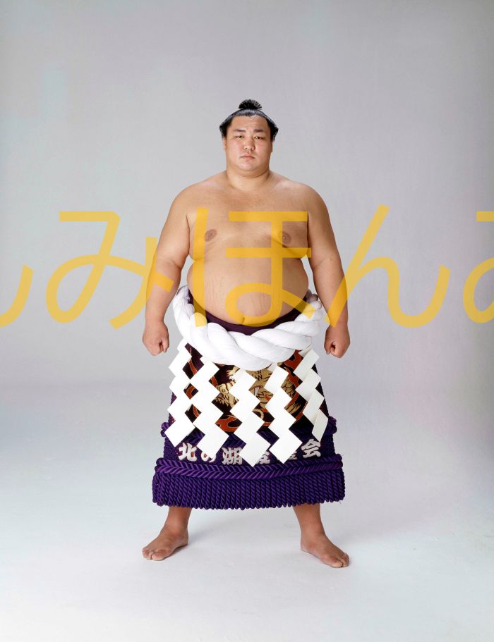 北の湖敏満関　優勝ミニ額 大相撲ミニ額 大相撲優勝額　昭和５７年１月場所 優勝 横綱 北の湖敏満関（２３回目の優勝）優勝記念品 相撲グッズ 力士グッズ 相撲取りグッズ 国技館 限定品 記念品 コレクション 写真 S5701
